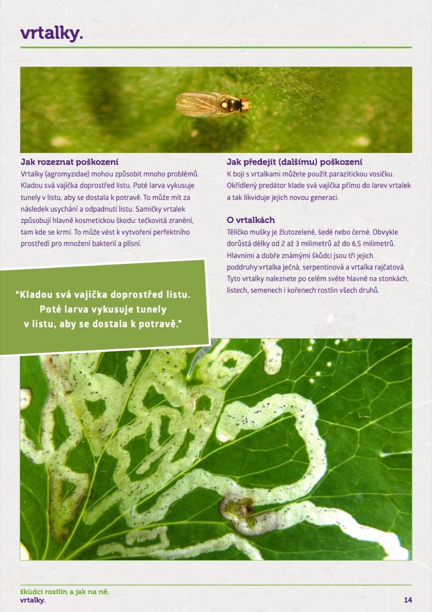 parazit rostlin papilloma vs skin cancer