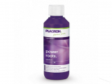 Plagron Power Roots 100ml