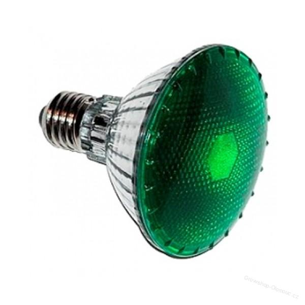Žárovka Agrolite Dark Night 100W